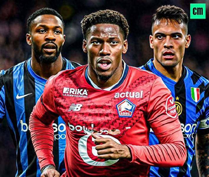 迷们的期待 迷们的期待