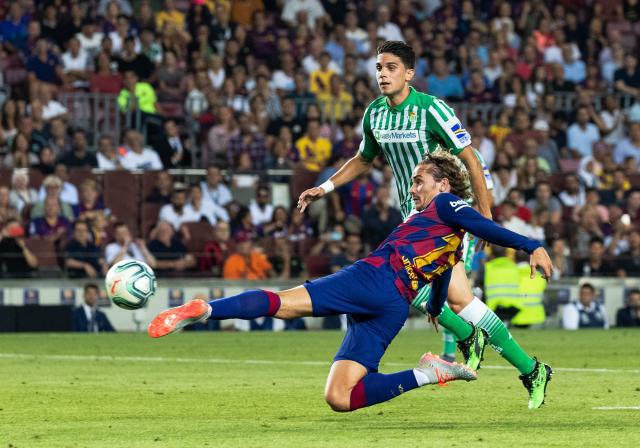 面对国王高 面对国王高