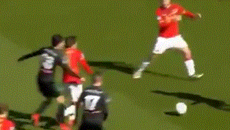 性价比与体 性价比与体