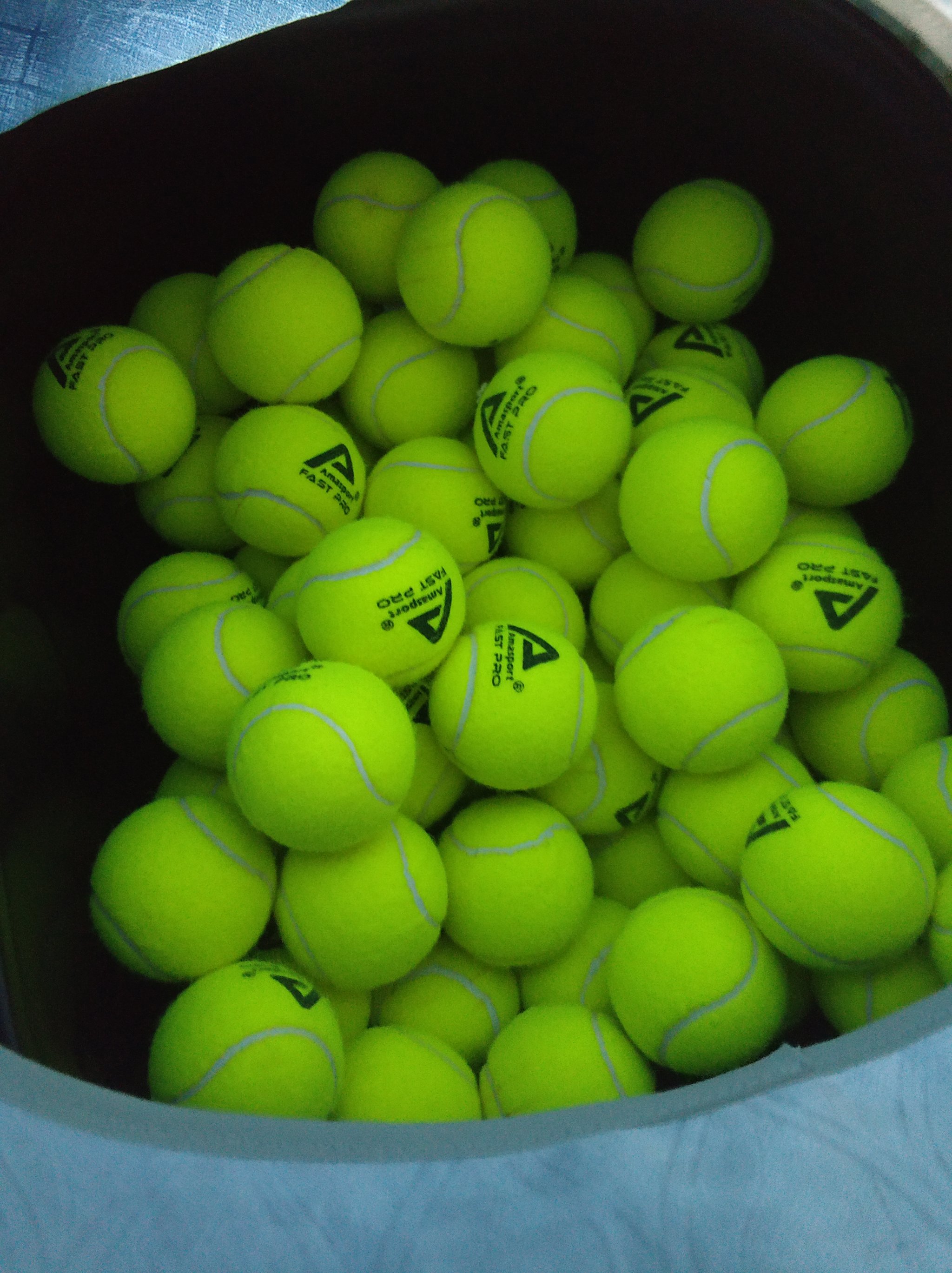 缩了拜仁在 缩了拜仁在